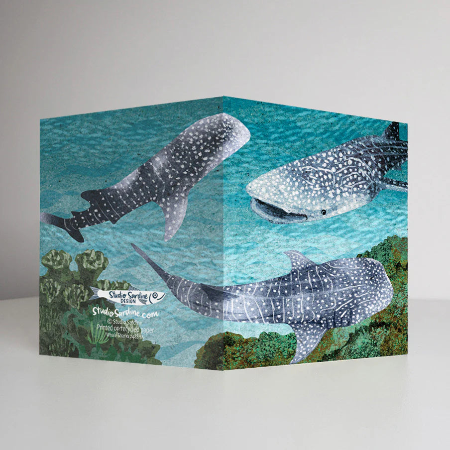 Whale Sharks Card