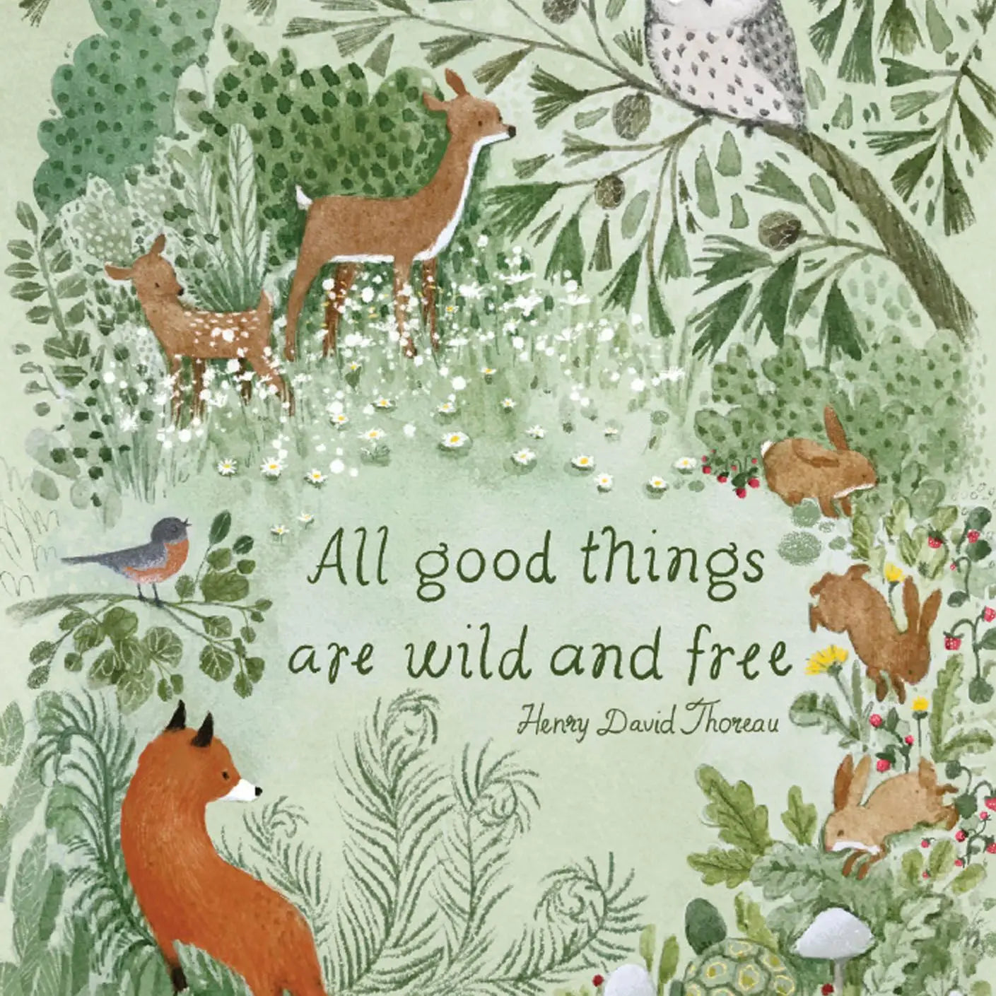 Wild and Free Birthday Card